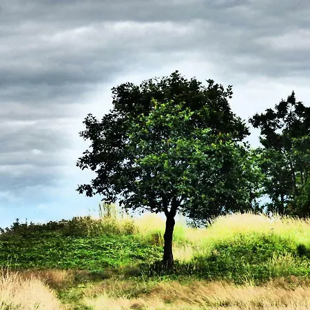 Casa vacanze Relaxen Am Eifelbach Kesseling