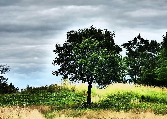 度假居 Relaxen Am Eifelbach Kesseling